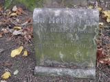 image of grave number 199235